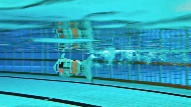 The VAYU Project set the new Guinness world record for “The Fastest 50m Swim by a Robotic Fish” on January 23, 2020, in Shenzhen. 