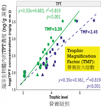 港大科學團隊在中華白海豚和江豚體內發現高濃度的有毒苯基錫化合物，並證實這些污染物在海洋生物體內的濃渡沿食物鏈倍增。