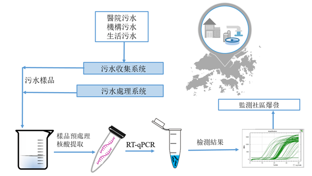 污水中SARS-CoV-2病毒的檢測流程
 