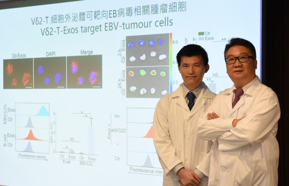 港大醫學院發現Vδ2-T細胞外泌體，可作為治療EB病毒相關腫瘤的新方法。是項研究由港大醫學院兒童及青少年科學系陳仲舒陳寧基金教授（兒童免疫）涂文偉教授（右）領導，涂教授團隊的博士後研究員王系偉博士（左）為論文的第一作者。
 