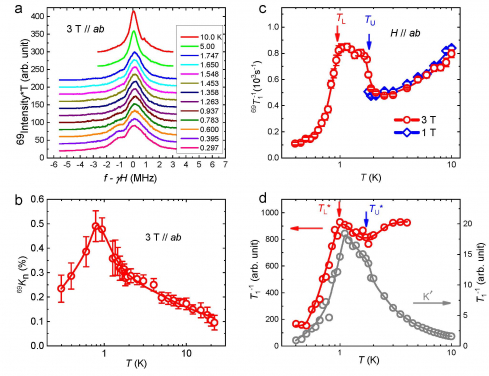 Figure 2. ﻿NMR spectra and spin-lattice relaxation rates of TMGO in ﻿(a), (b) and (c) and its theoretical computation  through large-scale QMC simulations in (d).
 