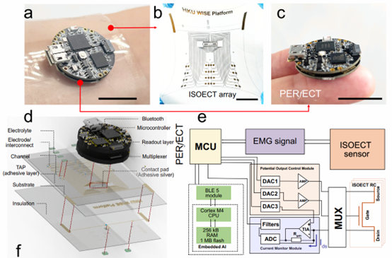 The wearable in-sensor computing platform for health monitoring.
 