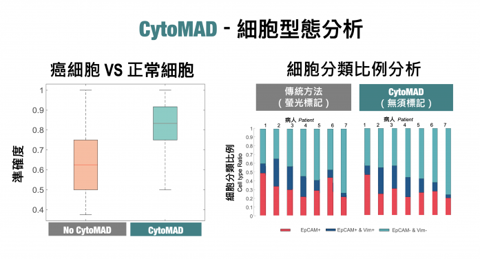 使用由港大團隊研發的生成式人工智能方法 — CytoMAD，進行肺癌病人的癌細胞分析